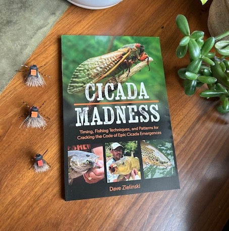 Cicada Madness + 3x Flies